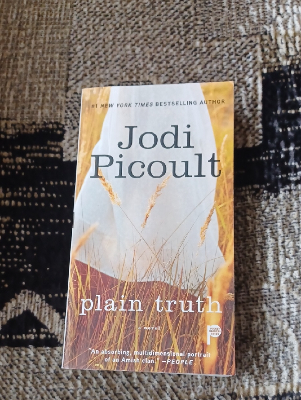 $4 Add-on Jodi Picoult "Plain Truth" - Paperback Novel